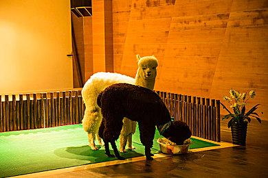 飞利浦全能游戏电视G1系列新锐上市，打造不一样大屏游戏王者